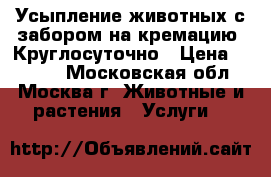 Усыпление животных с забором на кремацию. Круглосуточно › Цена ­ 2 000 - Московская обл., Москва г. Животные и растения » Услуги   